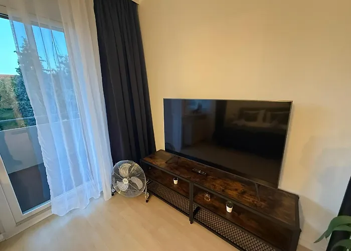 Immo-vision - Modern Living Apartments, Zentral, Parkplatz, Kueche, Wlan Appartement Wolfsbourg